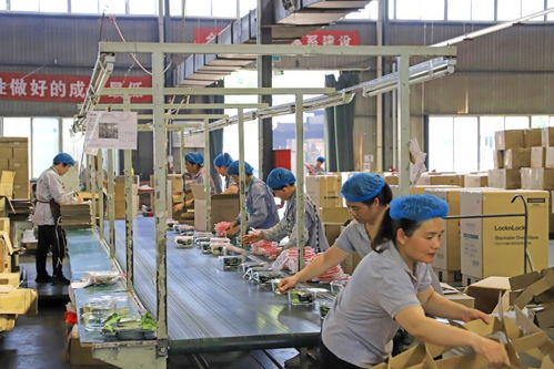 近九成专精特新企业制定国际化计划