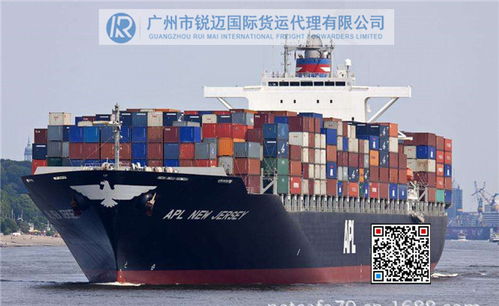 广州发货到泰国中泰国际物流专线海运专线什么价格 广州锐迈国际货运公司