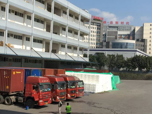 力天国际物流给您拜年啦 感谢社会各界领导 客户及朋友们的厚爱与支持,坚持物流产品经营理念继续前行