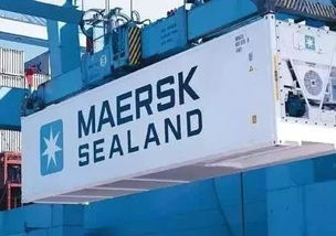 东莞国际物流漕帮 中国市场冷冻食品进口爆炸式增长下的国际物流机遇与挑战