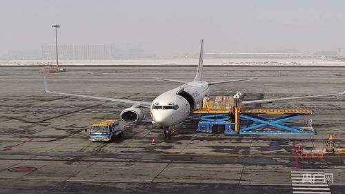 新疆国际货运包机业务全面恢复，为国际物流注入新动能