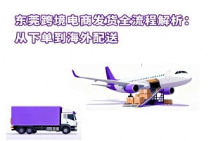 东莞国际物流 连接全球的供应链枢纽